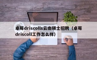 卓莓driscolls云南硕士招聘（卓莓driscoll工作怎么样）