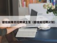 碧桂园集团招聘硕士生（碧桂园招聘计划）