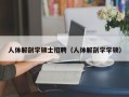 人体解剖学硕士招聘（人体解剖学学硕）