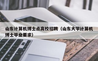 山东计算机博士点高校招聘（山东大学计算机博士毕业要求）