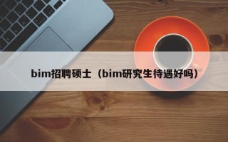 bim招聘硕士（bim研究生待遇好吗）