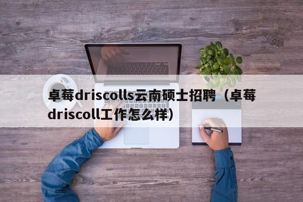 卓莓driscolls云南硕士招聘(卓莓driscoll工作怎么样)-第1张图片-公办高校硕士招聘信息-最新高校硕士招聘信息-公办高校招聘条件 卓莓driscolls云南硕士招聘(卓莓driscoll工作怎么样)-第1张图片-公办高校硕士招聘信息-最新高校硕士招聘信息-公办高校招聘条件